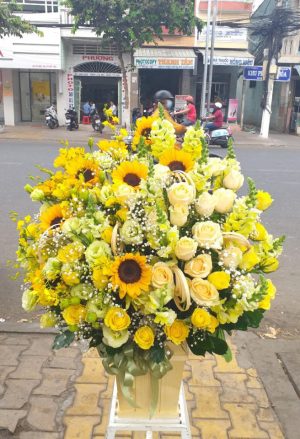 Shop Hoa Tươi Thị Trấn Hoàn Lão, Bố Trạch, Quảng Bình