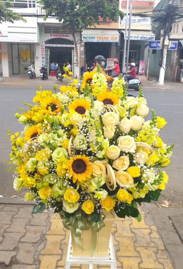 Shop Hoa Tươi Thị Trấn Hoàn Lão, Bố Trạch, Quảng Bình