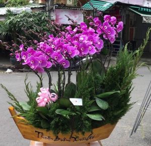 Shop Hoa Tươi Thị trấn Quy Đạt, Minh Hóa, Quảng Bình