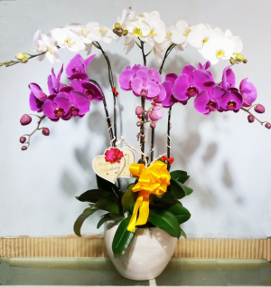 Shop Hoa Tươi Thị Trấn Kiến Giang, Lệ Thủy, Quảng Bình