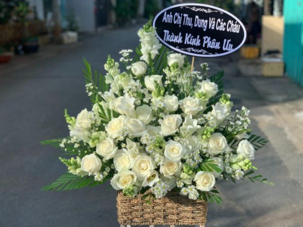 Huyện Bố Trạch, Tỉnh Quảng Bình