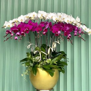 Shop Hoa Tươi Thị Trấn Hoàn Lão, Bố Trạch, Quảng Bình