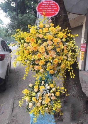 Shop Hoa Tươi Thị Trấn NT Việt Trung, Bố Trạch, Quảng Bình