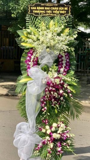 Shop Hoa Tươi Thị Trấn Hoàn Lão, Bố Trạch, Quảng Bình