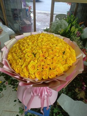 Shop Hoa Tươi Thị Trấn Kiến Giang, Lệ Thủy, Quảng Bình